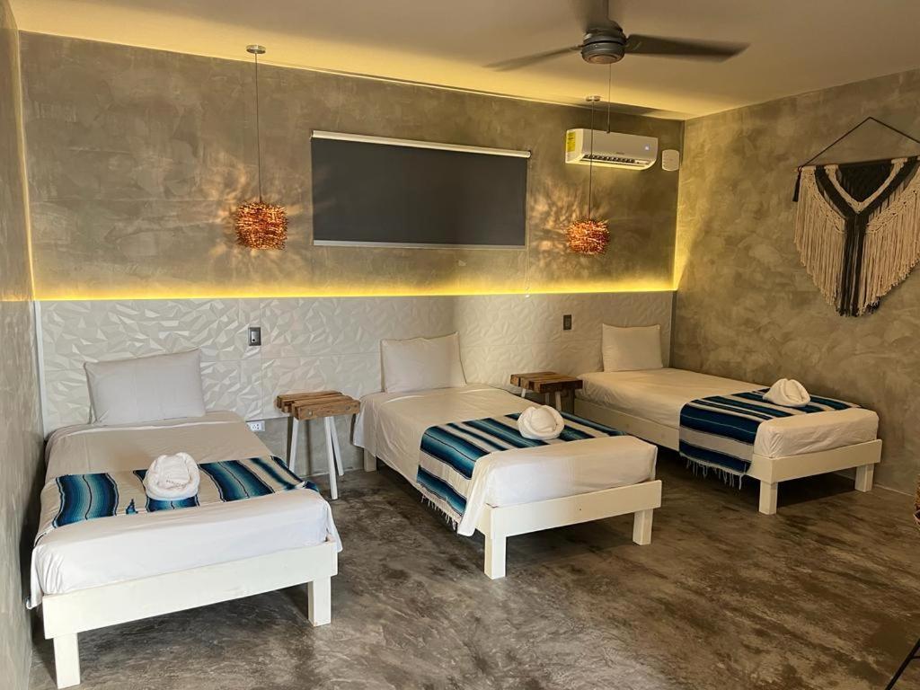 Villa Quetzal Πλάγια Ντελ Κάρμεν Εξωτερικό φωτογραφία